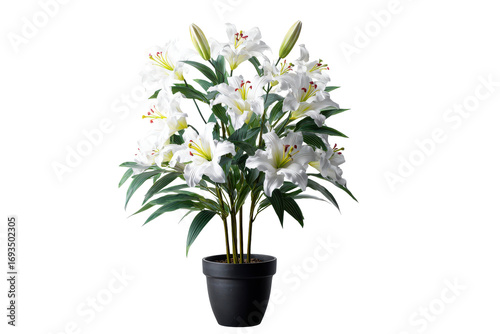Wallpaper Mural Elegant bouquet of white lily flowers in a black pot. Torontodigital.ca
