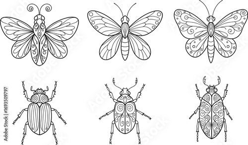 Insect vector set, butterfly and beetle line art, decorative bug illustration, black and white insect drawing, coloring book design