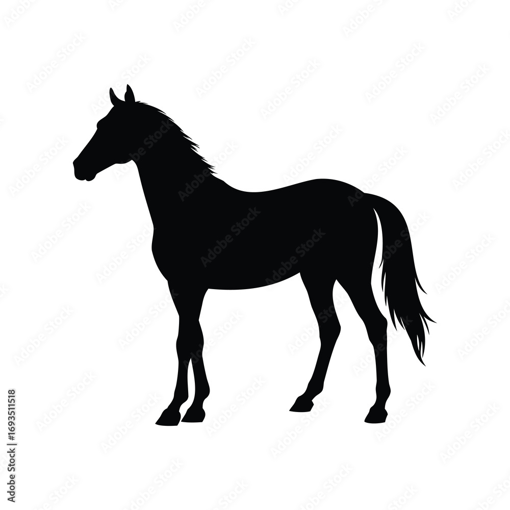 Obraz premium Silhouette of a majestic horse standing gracefully against a stark white background, horse silhouette vector illustration