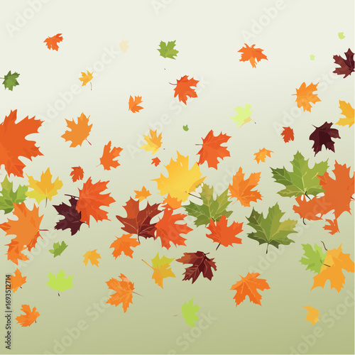 Falling autumn maple leaves vector illustration, warm color palette, flat design, against a light green background.