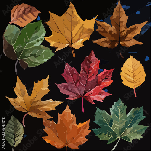 Flat lay of various autumn leaves in red, orange, yellow, and green hues against a dark background;  illustration style.