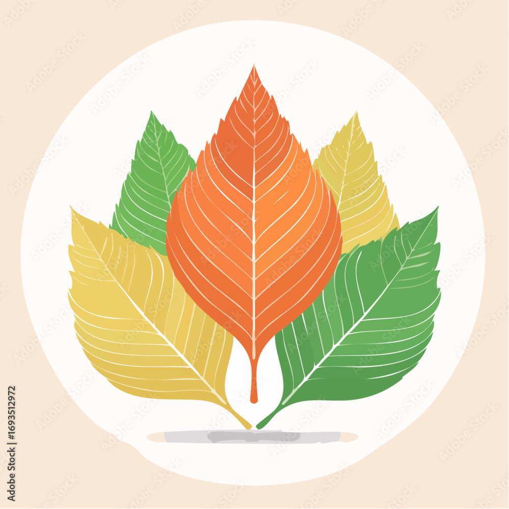 Obraz premium Flat lay illustration of three autumn leaves in orange, yellow, and green against a white circular background, conveying a warm and serene mood.