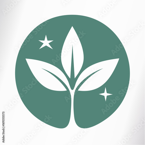Close-up flat lay image of a green sprout with three leaves and two sparkling stars, conveying a fresh and natural mood against a teal circular background.