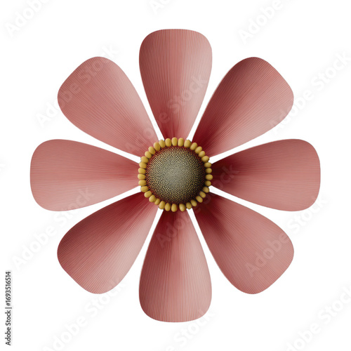 A Single Pink Daisy Like Flower With A Textured Center And Delicate Petals On A Transparent Background