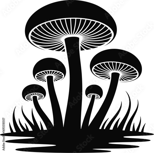 Black mushrooms growing in grass fungi white