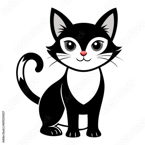 black and white cat