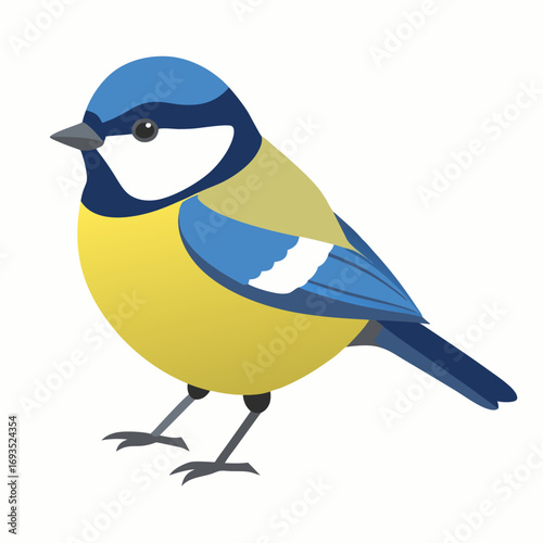 blue tit on a branch