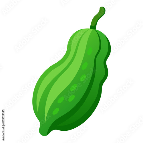 Green bitter gourd vegetable vector on white background.