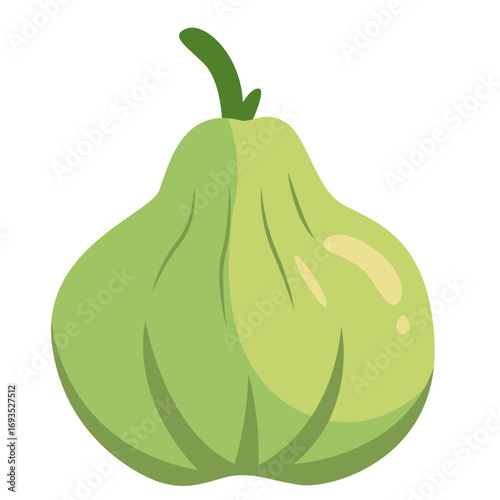 Light green chayote with stem. Great for produce graphics, culinary visuals, or vegetarian-themed illustrations and healthy eating designs.