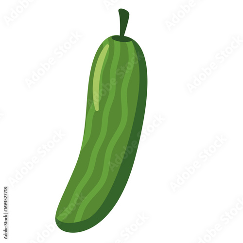 Green cucumber with simple shape. Ideal for diet graphics, fresh produce visuals, or vegetarian illustrations.