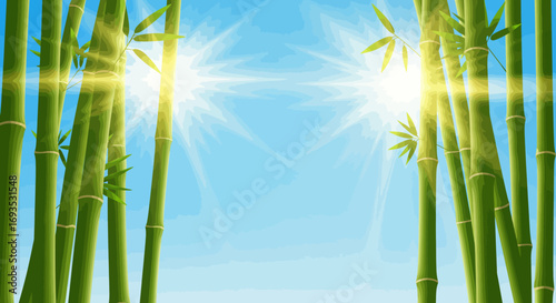 Bamboo stalks frame a serene blue sky with bright sunlight shining through leaves