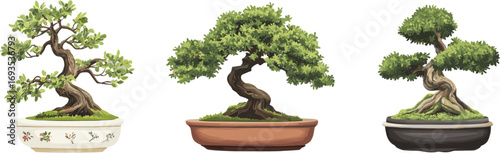 3 sets of decorative bonsai plants. Vector illustration