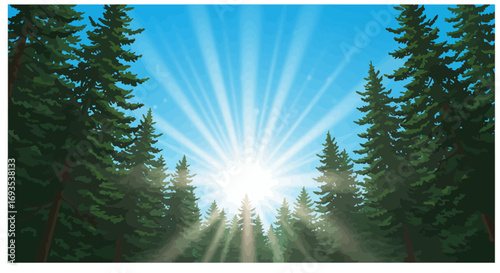 Forest view from below sun beams through trees