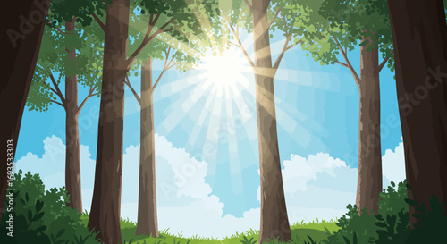 Forest view trees surround a sunlit clearing blue sky behind