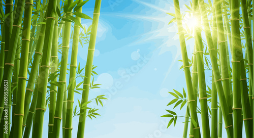 Green bamboo stalks surround a bright sunny blue sky creating a lush serene outdoor scene