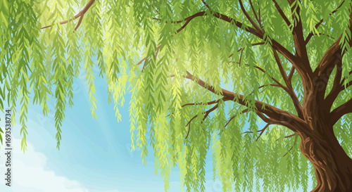 Illustration of a willow tree with green leaves against a blue sky