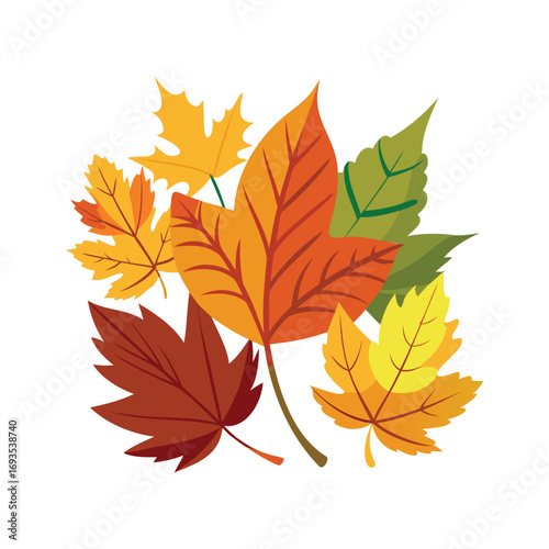 Vibrant autumn maple leaves in a colorful cluster