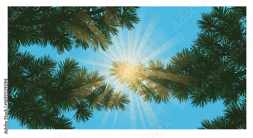 Lowangle view of dense tree branches framing a bright sunlit blue sky with radial sunbeams