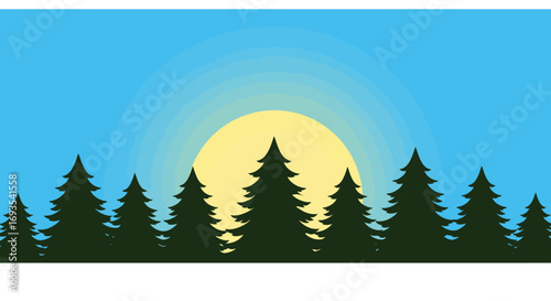 Silhouette of pine trees set against a gradiated sunlit sky