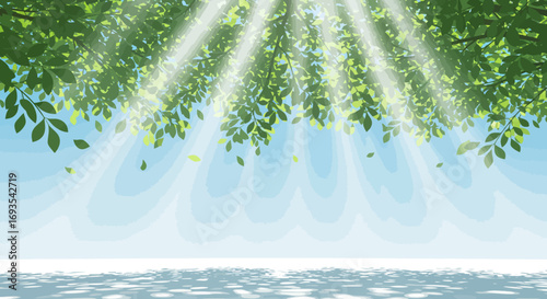Sunlight streams through leaves from above onto an area below