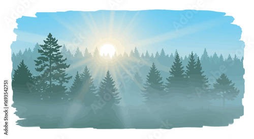 Sunlit forest with fir trees obscured by mist under a blue sky