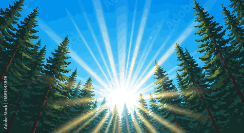 Trees frame a sunburst against a bright blue sky creating a vivid upward view into the forest canopy