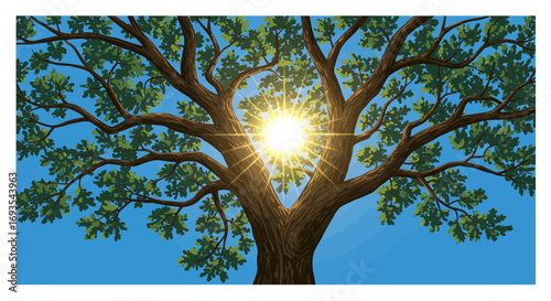 Tree with sun shining through branches against a blue sky