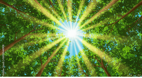 Upward view of trees reveals sunlight through leaves and branches against a blue sky