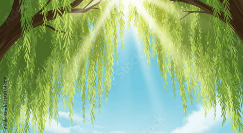 Weeping willow branches frame a blue sky with sunbeams soft white clouds