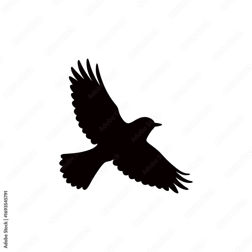 Obraz premium Elegant bird silhouette soaring high in the sky a symbol of freedom and grace for designs and artistic representations