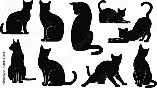 Cat silhouettes, feline poses, sitting cat, walking cat, stretching cat, crouching posture, animal behavior, black shape, pet icon, design element
