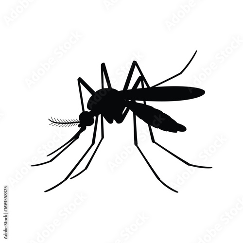 Black silhouette of a mosquito insect on white background