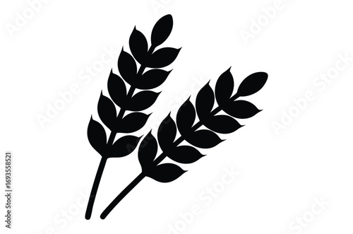 wheat stalk silhouette vector, Wheat ears vector illustration