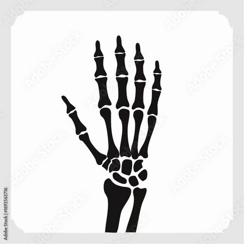 A black and white illustration of a skeleton hand in a square frame, showcasing its intricate bone structure. The hand is open with all fingers extended