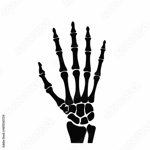 Skeleton hand silhouette illustration