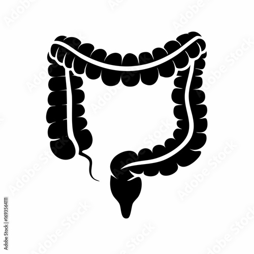 Anatomy of the Human Colon: A Silhouette Illustration. A black silhouette of the human colon, showcasing its shape and internal structure. 