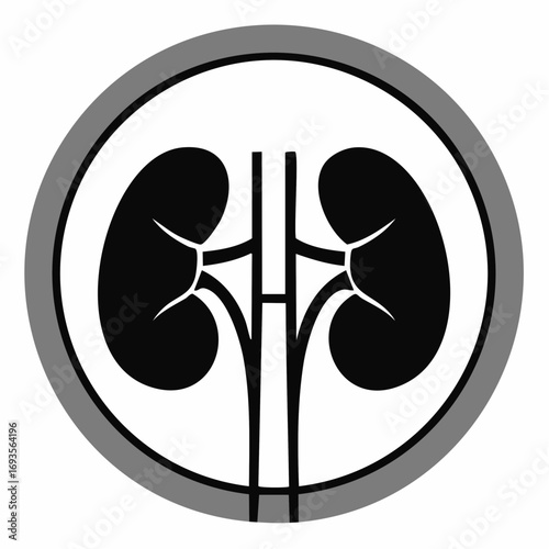 A medical illustration featuring kidneys and related veins in a stylized format