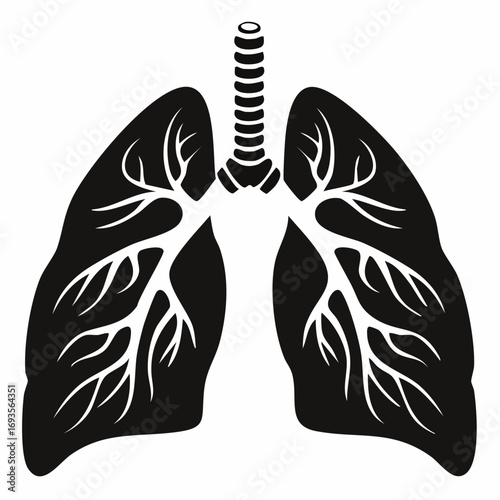 Black and white simplified medical illustration of the human lung. The illustration shows a clear view of the lung's intricate structure and anatomy
