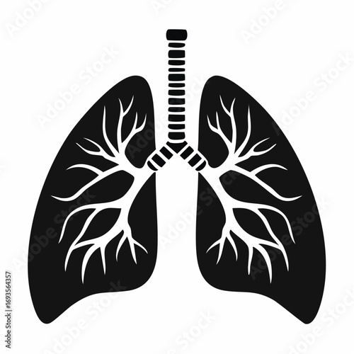 Anatomy of the human lung, highlighting the bronchioles