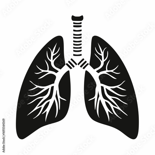 Illustration of human lungs, perfect for medical or educational purposes. The image shows the intricate details of the respiratory system.