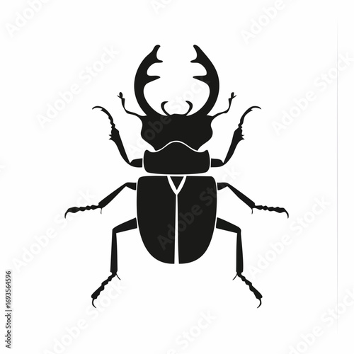A stag beetle illustration in black and white