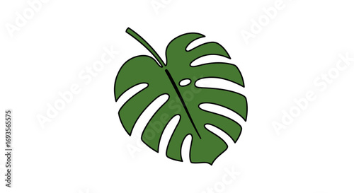 Stylized vector graphic of a tropical monstera leaf. A simple, elegant botanical illustration isolated on a white background for eco-friendly design