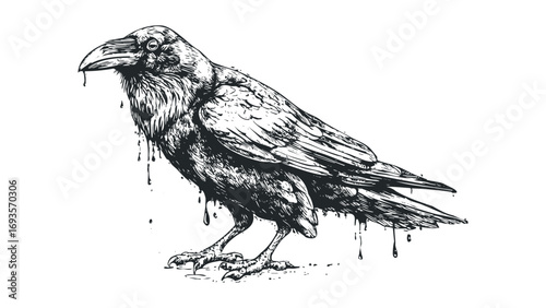 Detailed ink sketch of a raven with dripping liquid on transparent. Vector hand drawn illustration