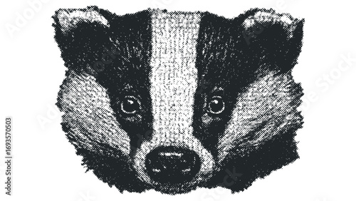 Textured monochrome head of a badger on transparent background. Vector hand drawn illustration