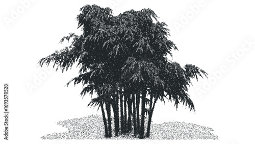 Clump of bamboo stalks with textured leaves on a transparent. Vector hand drawn illustration