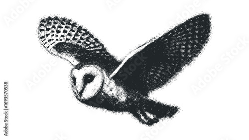 Barn owl with wings outstretched in flight on transparent background. Vector hand drawn illustration