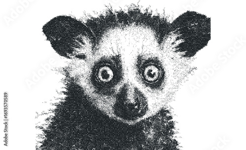Close up of lemur face in dot work texture isolated on white. Vector hand drawn illustration