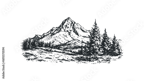 Hand drawn mountainous landscape with pine trees and grassy foreground. Vector hand drawn illustration