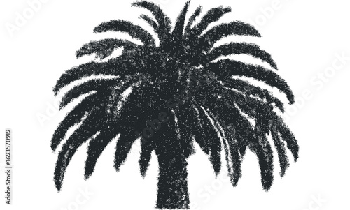 Textured palm tree silhouette on transparent background. Vector hand drawn illustration