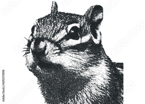 Halftone Dot Portrait of a Chipmunk Face on White. Vector hand drawn illustration